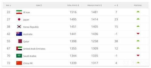 世界杯最新爆料信息查询,神秘阵容揭晓，焦点战前瞻与赛程调整揭秘